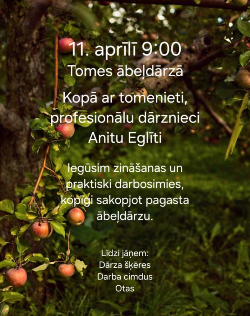 Ābeļu kopšanas meistarklase Tomē