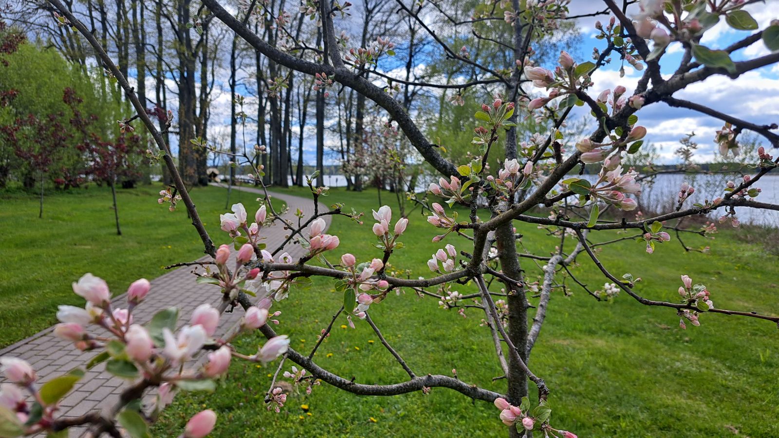 Izstādes Ogres novadā MAIJĀ