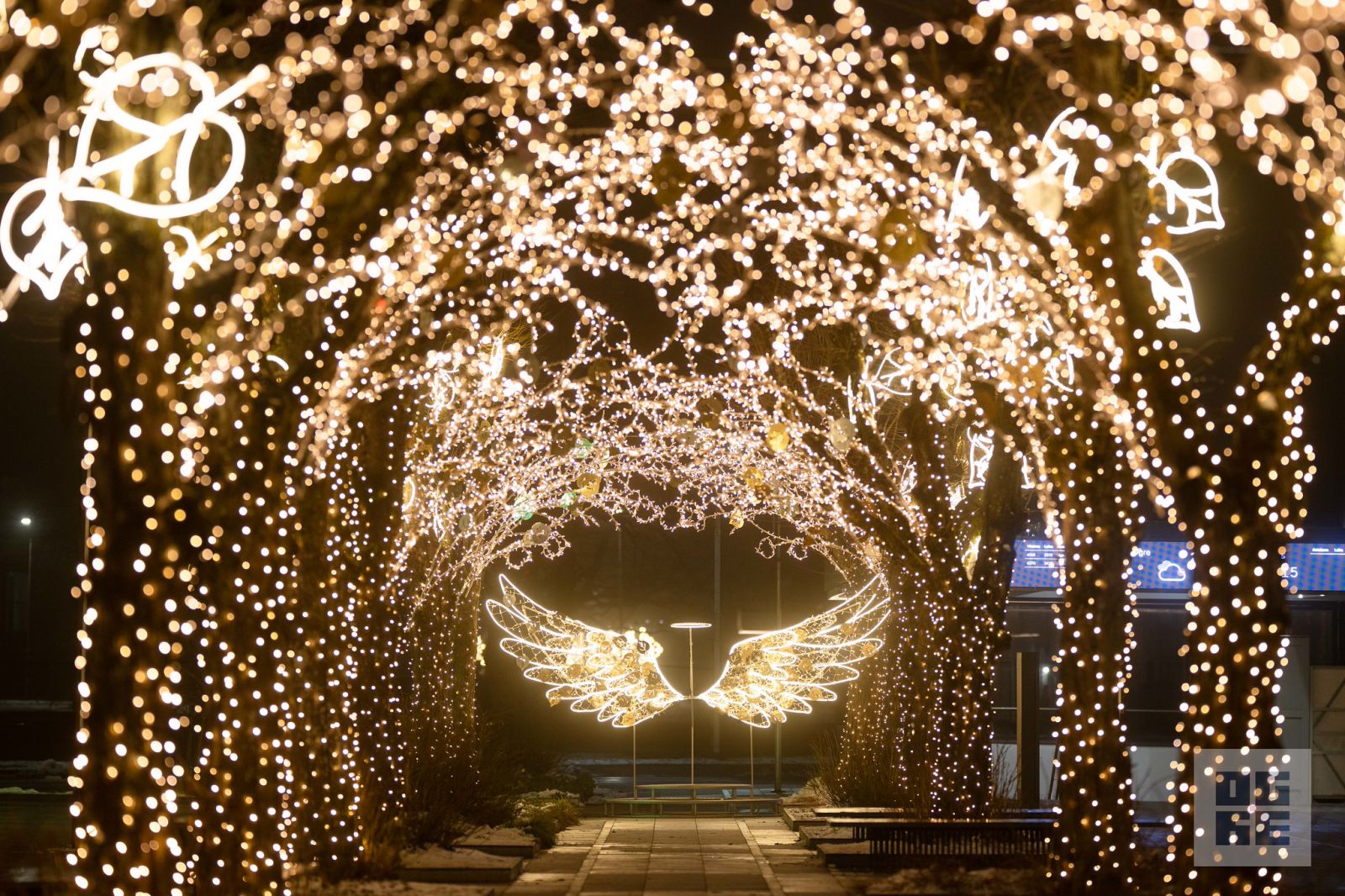 Ogres novadā iemirdzas Ziemassvētku rotājumi un svētku egles