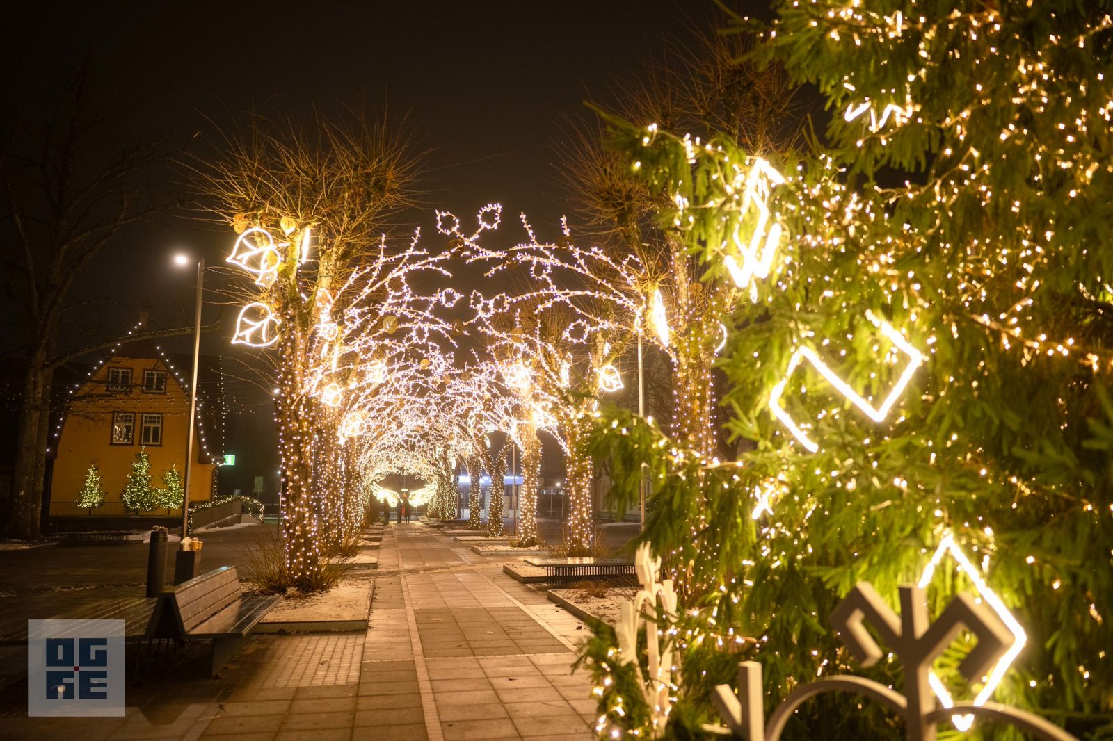 Ogres novadā iemirdzas Ziemassvētku rotājumi un svētku egles