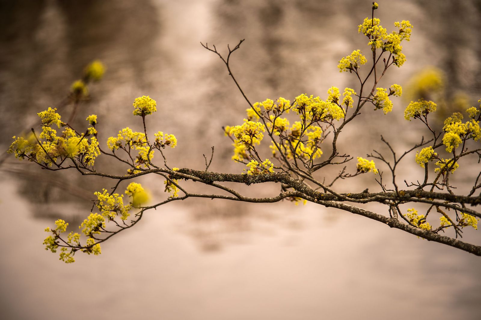 Izstādes MARTĀ Ogres novadā