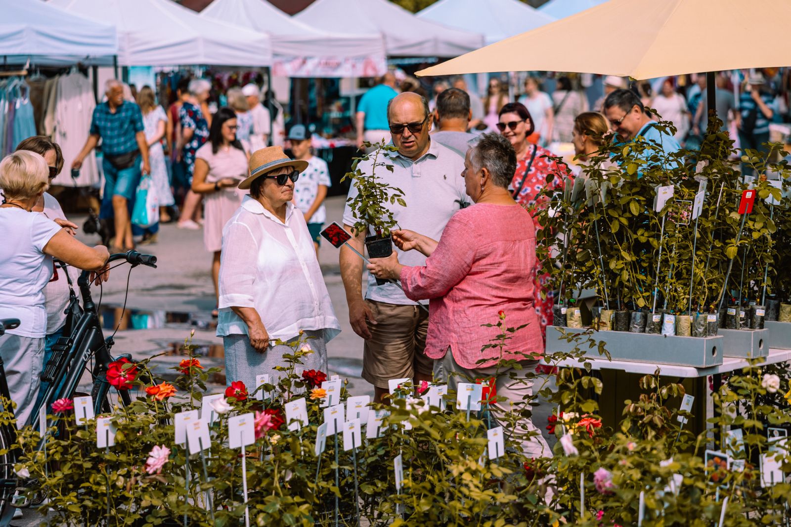 Ko apmeklēt: gadatirgi Ogres novadā 2026