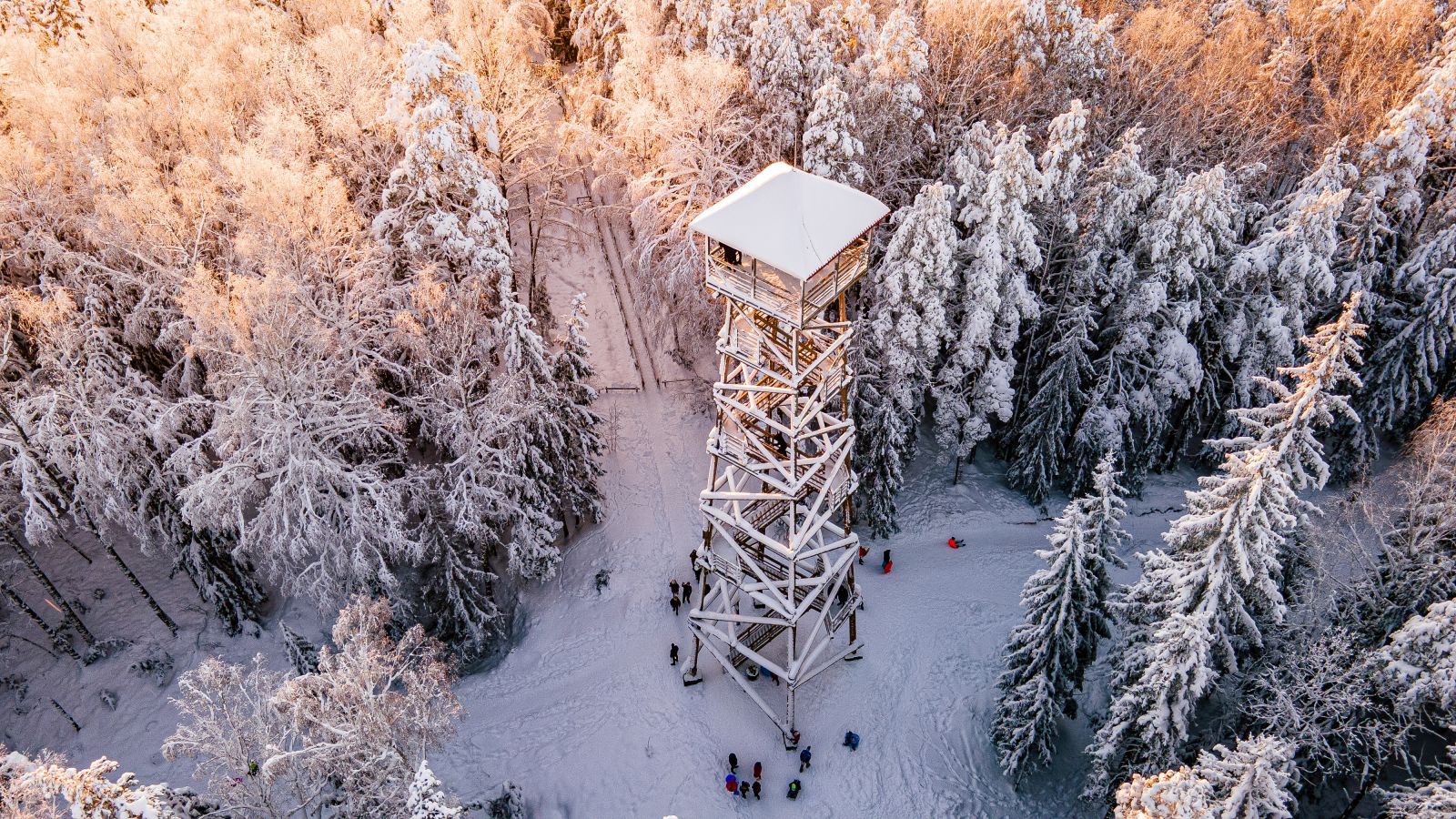 Ziemas aktivitāšu ceļvedis Ogres novadā