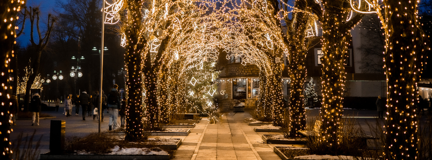 Linden Alley, Brīvības street, Ogre city