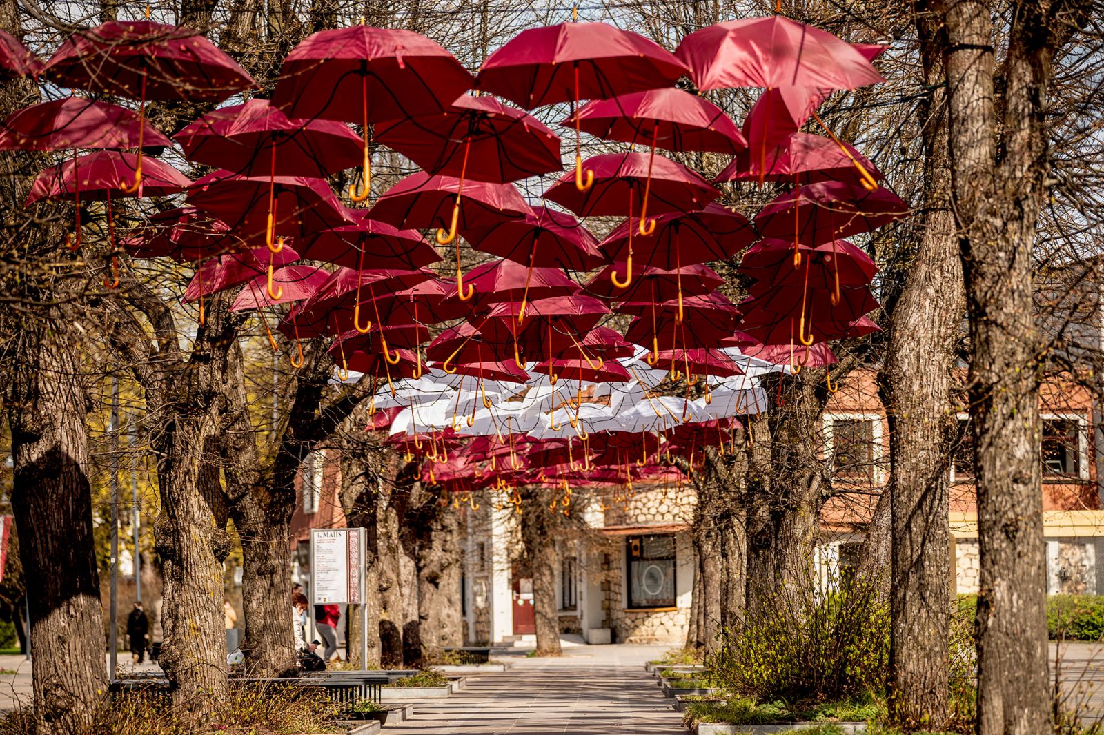 Ogrē izveidota karte ar pastaigu maršrutiem patriotiskās noskaņās