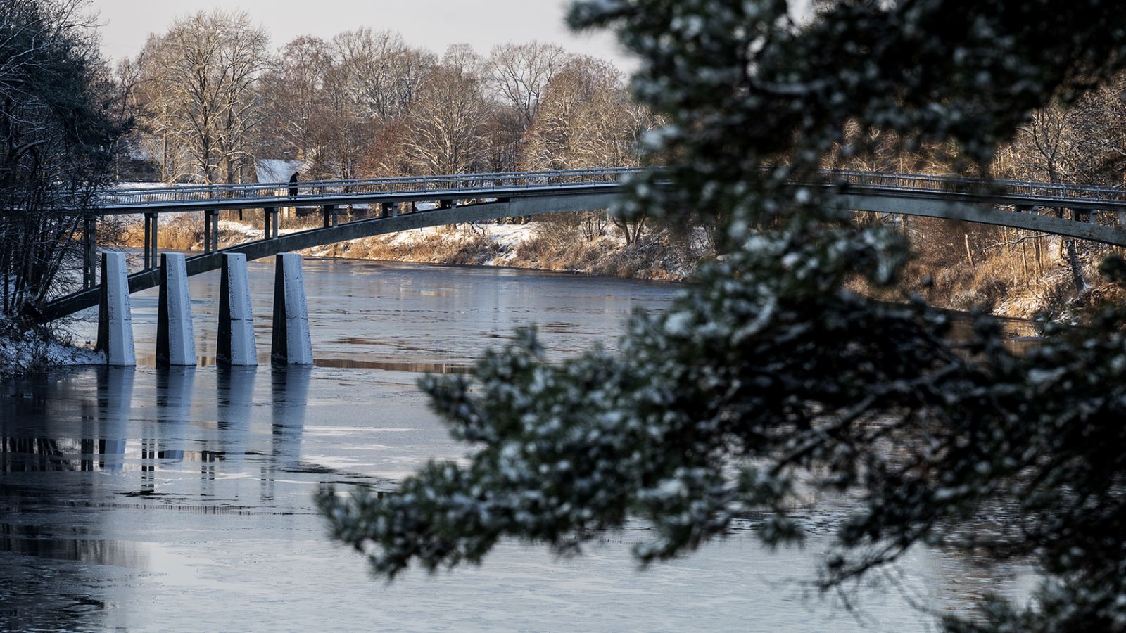 Izstādes FEBRUĀRĪ, Ogres novadā