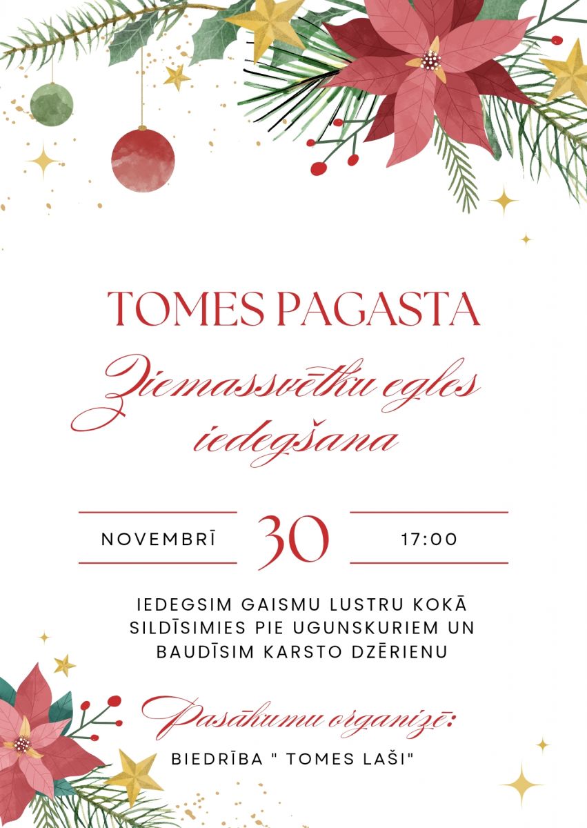 Tomes pagasta Ziemassvētku egles iedegšana  