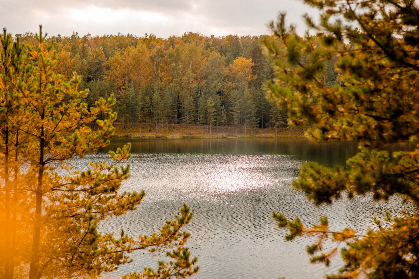 Rudens sajūtas Ogres novadā - kur doties baudīt skaistākās rudens ainavas 