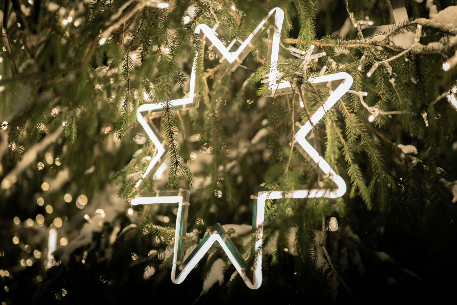 Ziemassvētku egļu iedegšanas pasākumi Ogres novadā