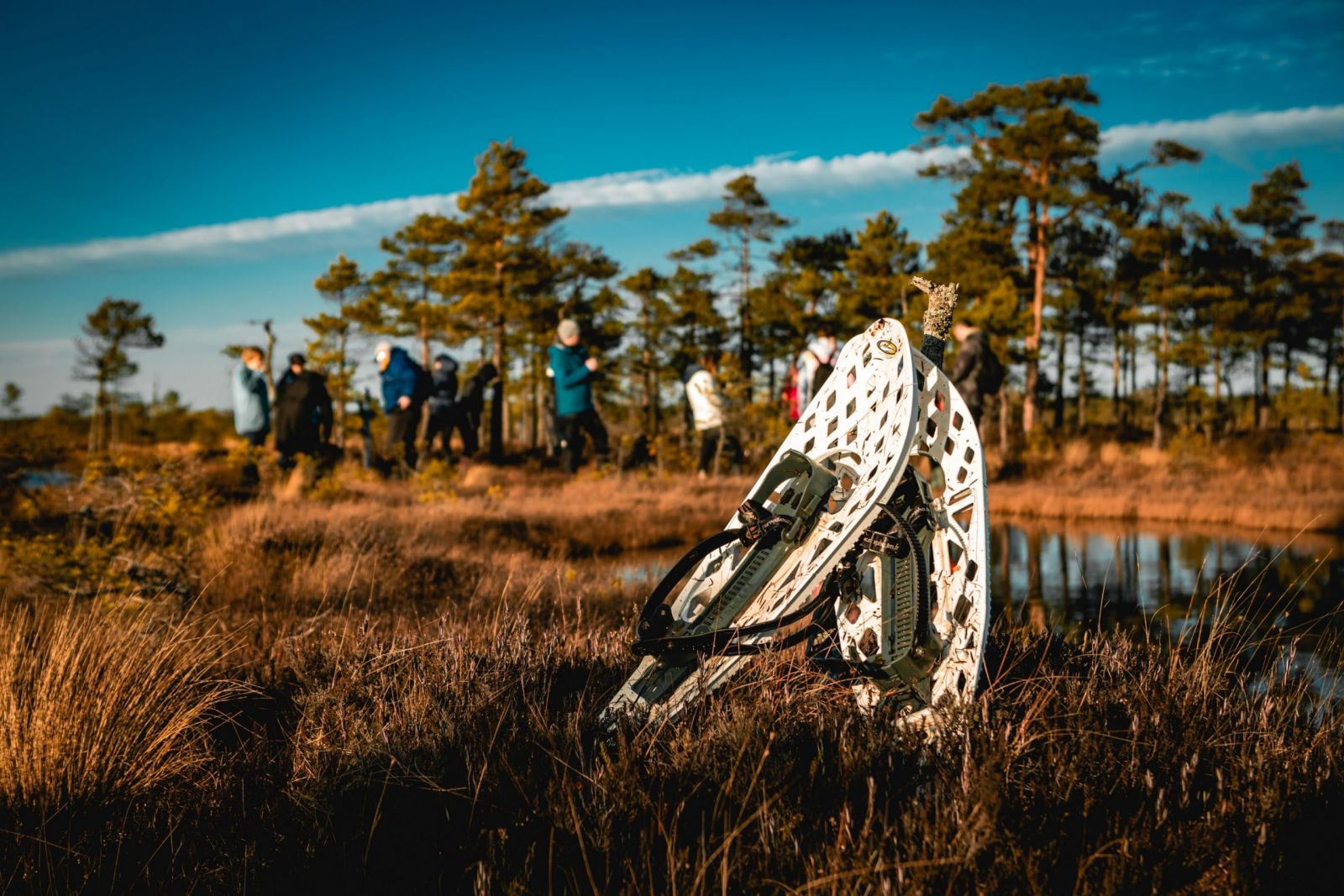 Aicina pieteikties pārgājienā ar purva kurpēm